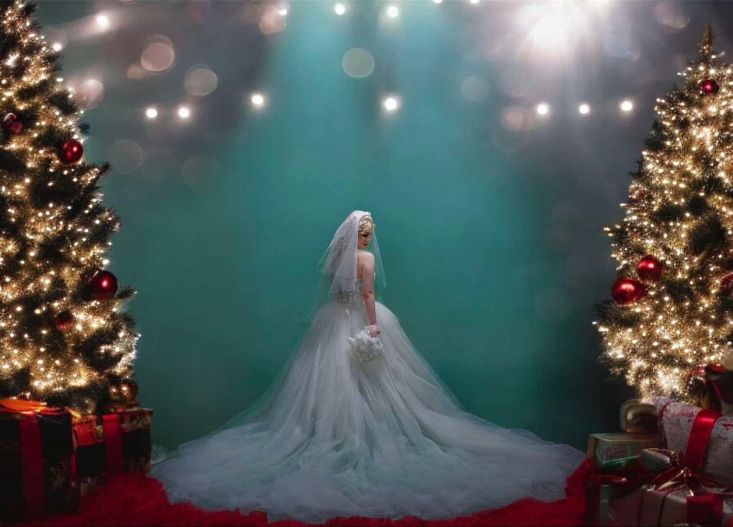 Crystal Elegance Bridal Gown
